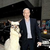 Anderson Cooper at the 'Late Show with David Letterman' | Picture 89259